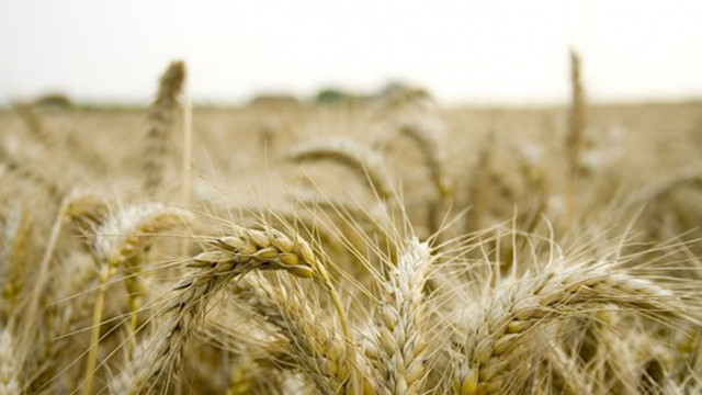 Европейската комисия ЕК предложи преразглеждане на своите правила за генетично