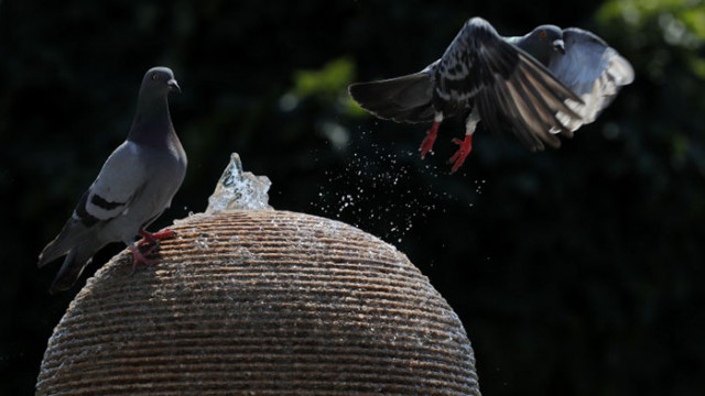През деня ще бъде слънчево след обяд горещо Ще