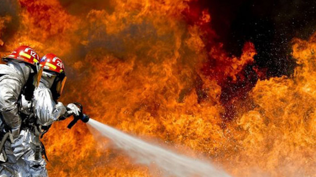 Общо 114 пожара са загасени в страната през изминалото денонощие
