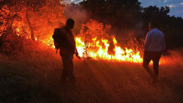 108 дка. са изгорели от началото на годината във Варненско