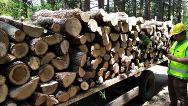 Облекчават реда за закупуване на дървесина за лично ползване
