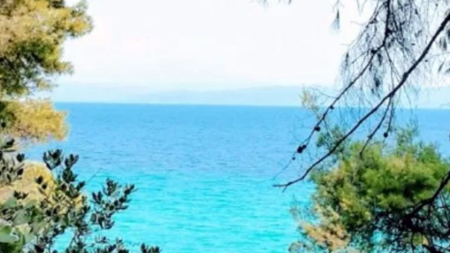 Водата в Черно море е с най добри показатели от последните