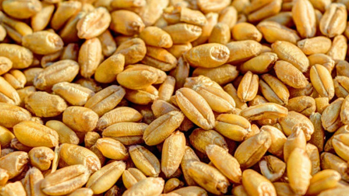 Пет съседни на Украйна страни поискаха от ЕС да им