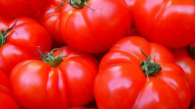Турция увеличи квотата за износ на домати в Русия от