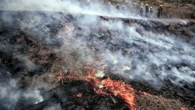 Голям пожар гори на гръцкия остров Родос   Стихията не може