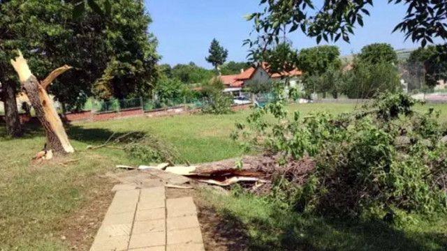 Кметът на община Бяла Слатина обяви частично бедствено положение на