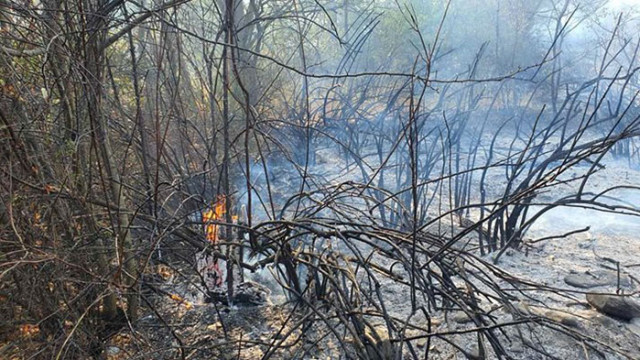 Огньове бушуват в Първомайско викат на помощ военни и доброволци