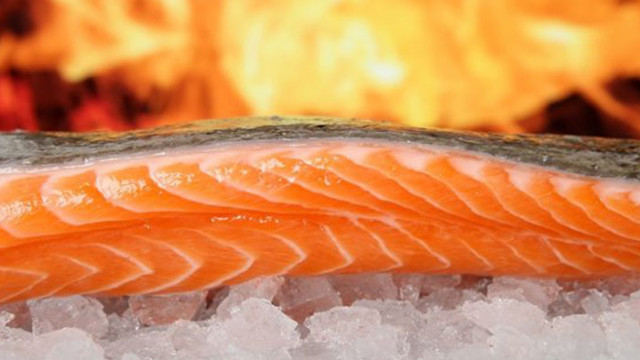 Омега-3 мастните киселини в рибата допринасят за здравето на белите дробове