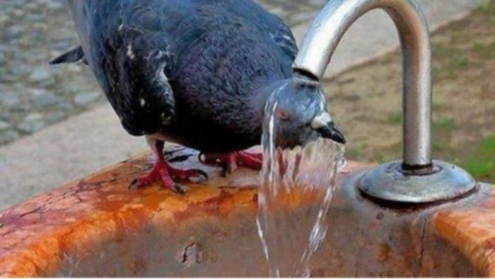 Очаква се днес да бъде най-горещият ден за това лято.