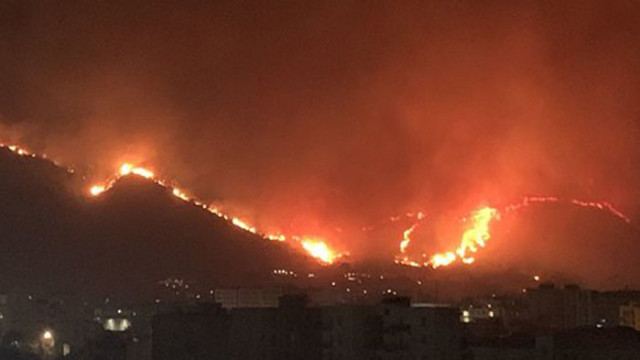 Огнен ад в Европа: Пожари взеха 3 жертви в Гърция и 4 в Италия, в Португалия избухват мини