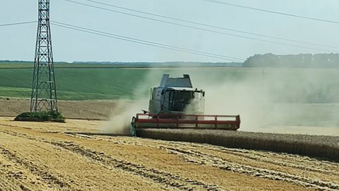 85 % от пшеницата в Добруджа е прибрана при среден добив 566,2 кг/дка
