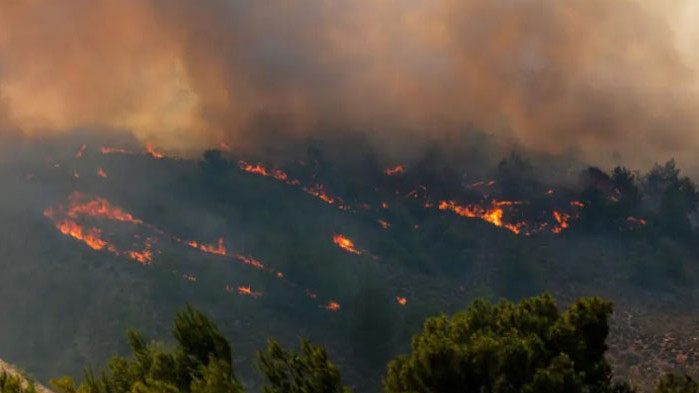 Български пожарникари заминават за Корфу Повече от 40 души загинаха