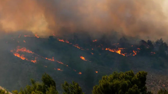 Български пожарникари заминават за Корфу Повече от 40 души загинаха