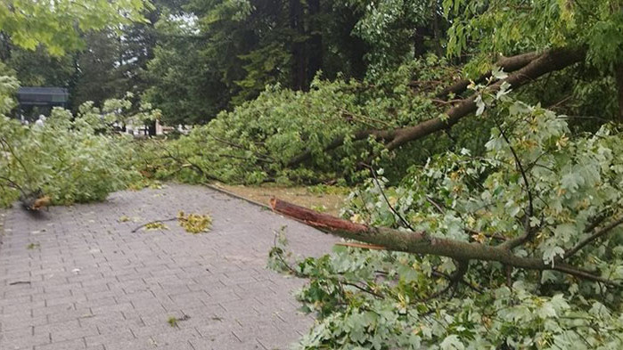 Буря удари Търговище (ВИДЕО)