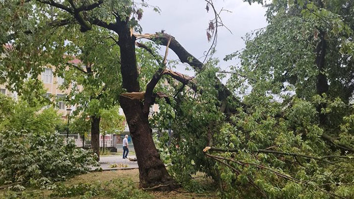 Буря удари Търговище (ВИДЕО)