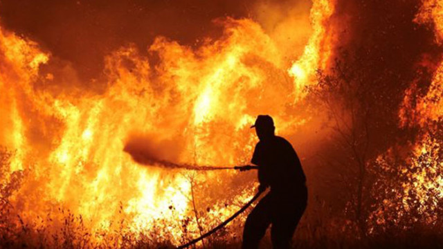 Нови горски пожари избухнаха в Гърция
