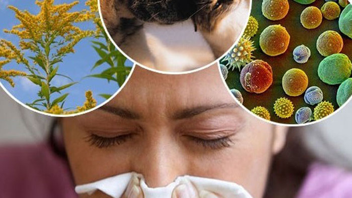 Наближава още една „невидима заплаха“ - алергиите. Как да се защитим?