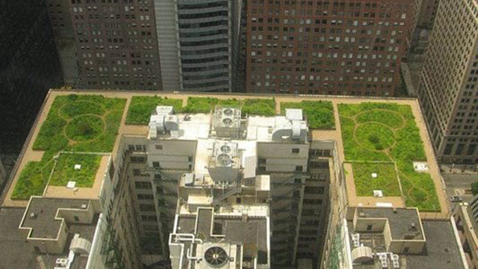 Зелени покриви укротяват жегата в градовете, пестят и вода