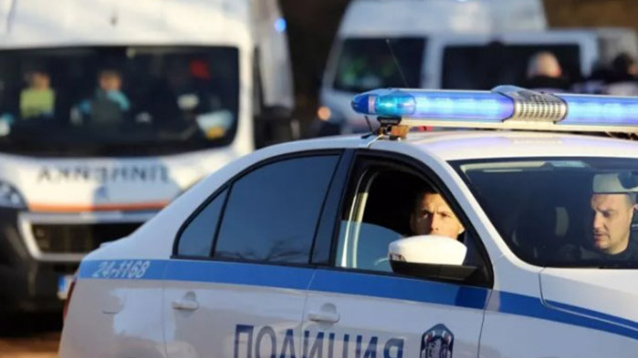 Шофьор прегази домашно куче и избяга