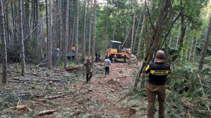 Горски служители са участвали в гасенето на пожари в страната
