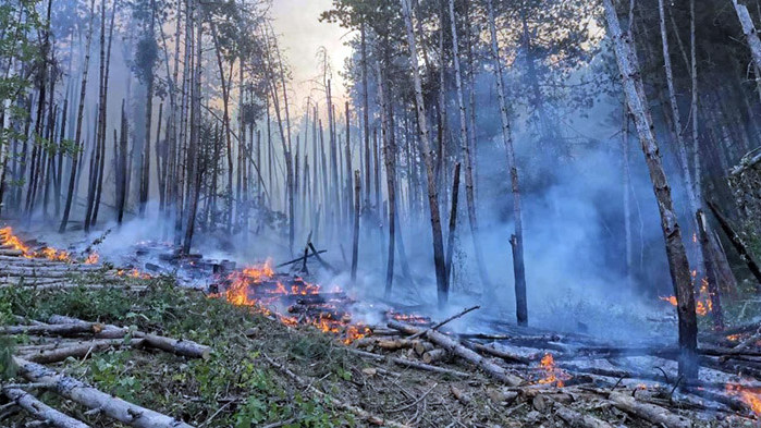 Близо 100 горски служители са гасили пожари в горите през