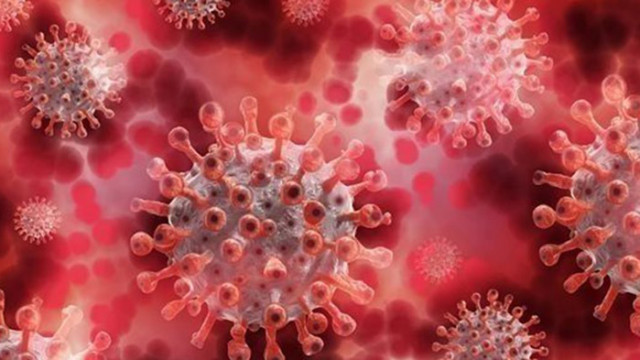 Швейцарски експерт: Вариантът Ерис на новия коронавирус не е много опасен