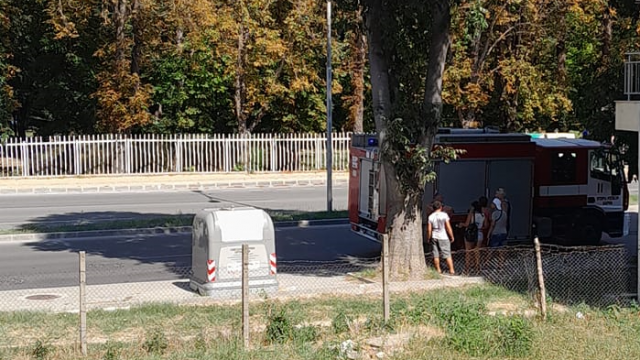 Блъснати дете и жена на входа на парка до Рибарско пристанище "Варна" в Аспарухово