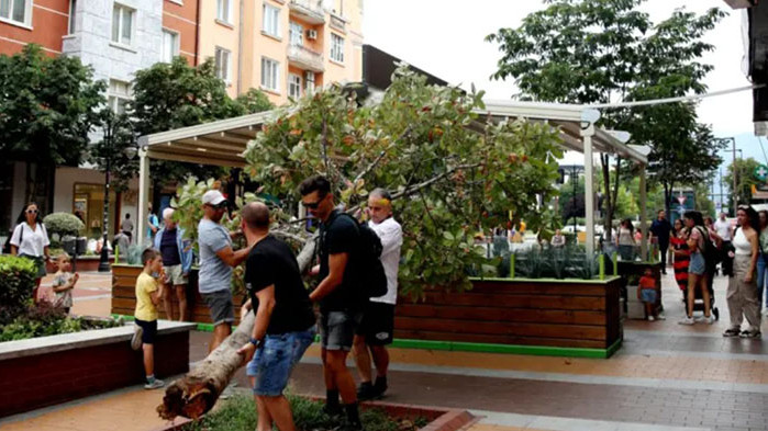 Дърво падна върху павилион с навес на едно от заведенията