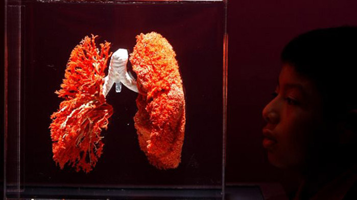 Учени: Недостигът на витамин К води до астма и ХОББ