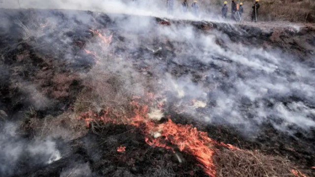 Силният вятър отново разпали огъня в Бургаско