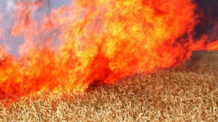 Между 12 и 15 пожара на ден гасят огнеборците в Добричка област
