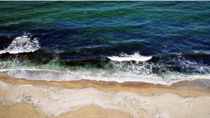 Здравното министерство: Манипулация и подвеждане е информацията за замърсена морска вода