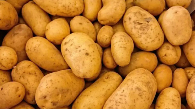Въпросът за съдбата на българските картофи вече съвсем не изглежда