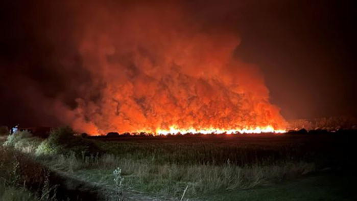 Пожарът в Сакар планина е изпепелил 10 000 декара площи