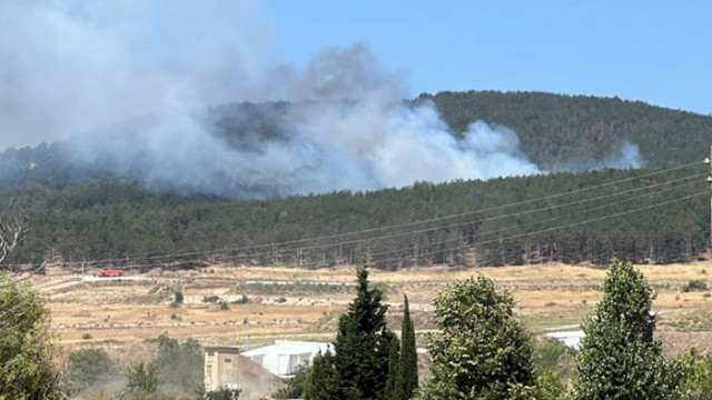 Пожар гори в гориста местност в района между Казанлък и