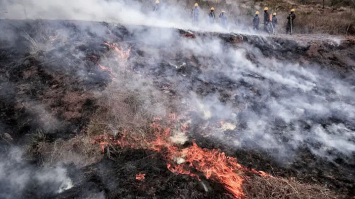 Голям пожар във вилната зона над Ямбол изпепели къщи и