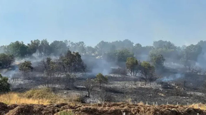 Областният управител на Стара Загора Ива Радева издаде заповед за