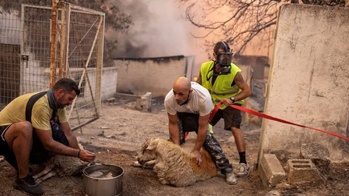 Загинали хора, изпепелени гори и апокалиптични гледки в Гърция (СНИМКИ)