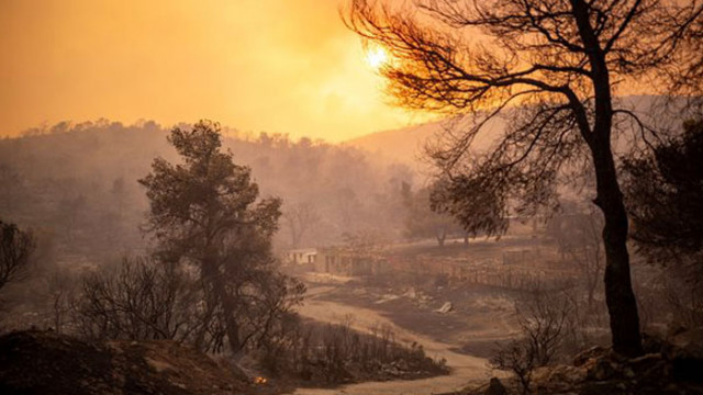 Апокалиптични кадри пристигат от съседна Гърция  Огромните горски пожари продължават да