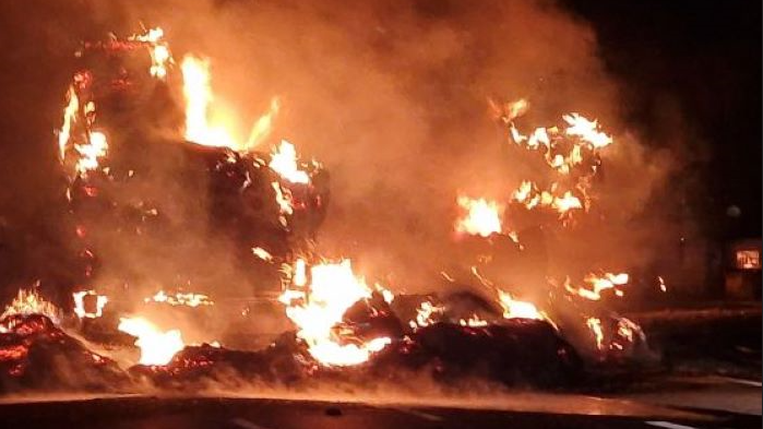 Летните жеги и сухото време на Балканите спомогнаха разрастването на