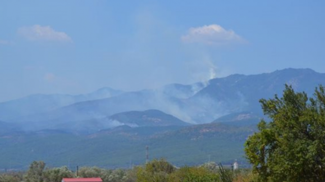 Пожар с 5 огнища гори на българо-гръцката граница (Видео)