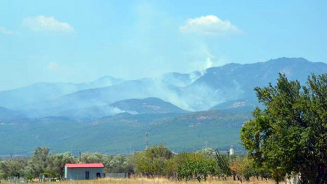 Пожар с 5 огнища гори на българо-гръцката граница, пътят от Александруполис е отворен