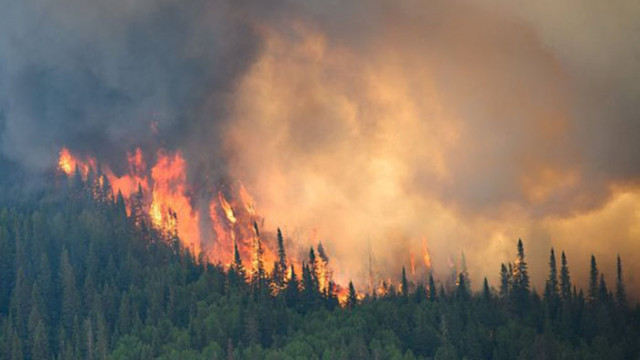 Климатичните промени са увеличили двойно условията довели до пожарите опустошили