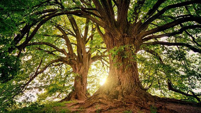 През нощта по-значителна ще се задържи облачността над източната половина