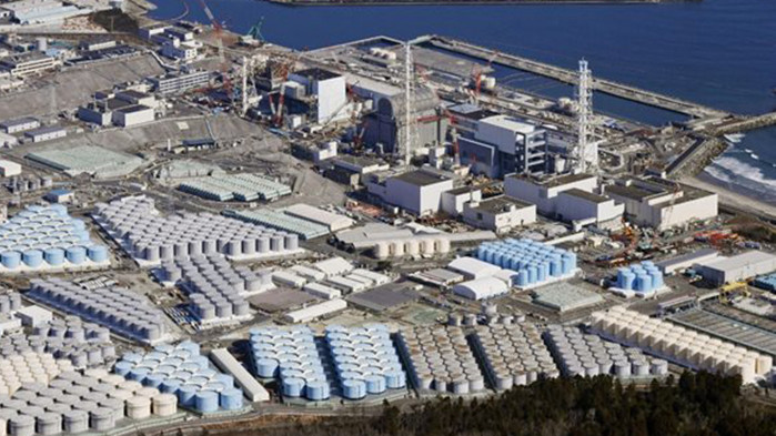 Япония: Няма следи от радиоактивност в рибата около Фукушима