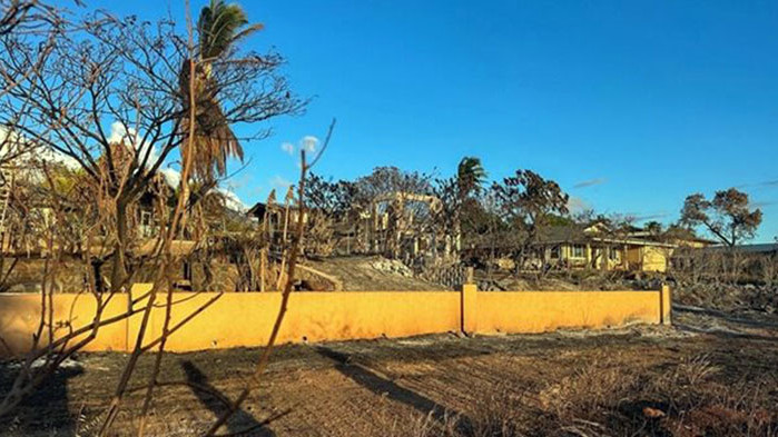 Нов пожар, тръгнал от храсти, на хавайския остров Мауи изпепели