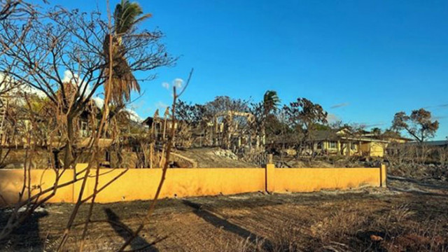 Нов пожар тръгнал от храсти на хавайския остров Мауи изпепели