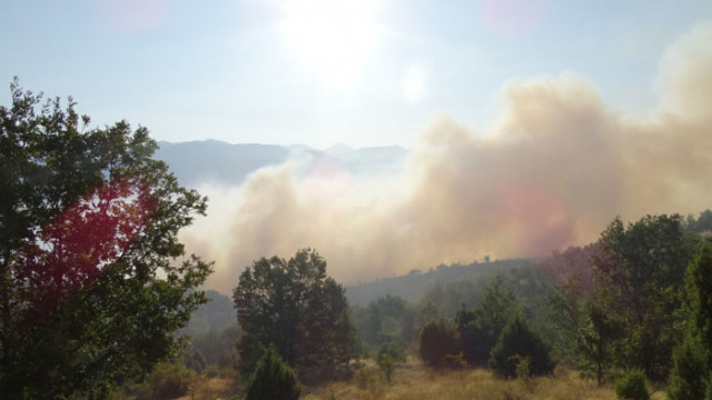 Пожар изпепели пет декара смесена гора над Хисаря  съобщава БНТ Огънят
