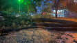 Силна буря събори дървета в Аспарухово