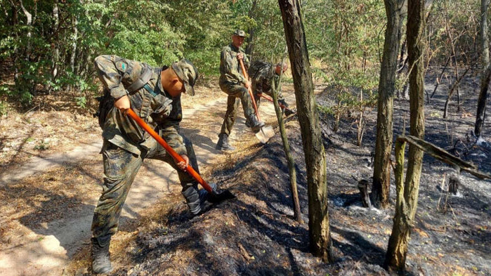 Напълно е овладян пожарът над хисарското село Михилци, съобщава bTV. Разпространяването